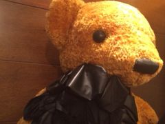 iphone_upload_pic-济州岛泰迪熊博物馆