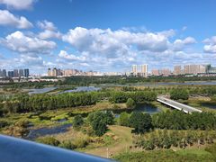 -哈尔滨大剧院