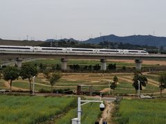 -光明小镇欢乐田园