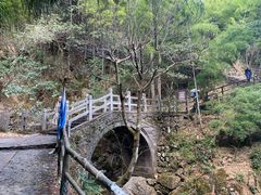 景点-东天目山风景区