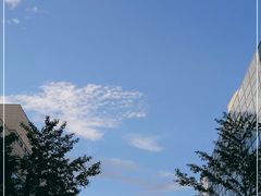 -首都医科大学附属北京天坛医院