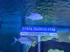 -常州海昌海洋探索馆