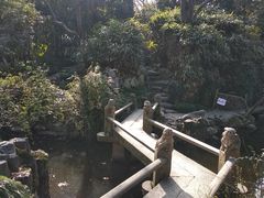 -秋霞圃