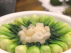 -兰边碗(鼓楼店)