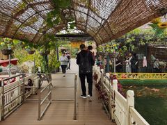 -白洋淀景区