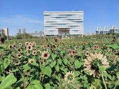 -武汉理工大学（南湖新校区）-图书馆