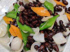 百合炒人参果-清真·益鑫羊肉手抓馆(花园北街店)