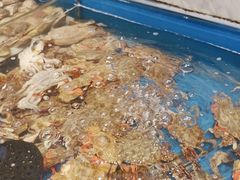 -川骄海鲜自助(河东店)