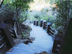 -梧桐山风景名胜区