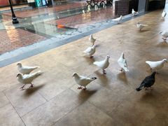 -王府井奥莱临潼小镇(临潼店)