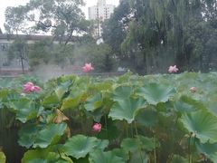 -四川大学(华西校区)