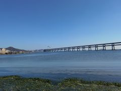 -星海湾跨海大桥