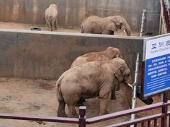 -西霞口神雕山野生动物世界