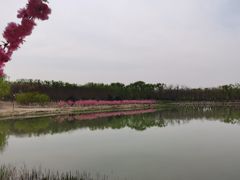 -大兴滨河森林公园