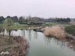 -尚贤河湿地