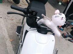 -雅迪电动车(北艾路店)