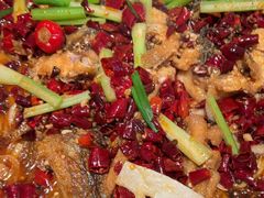 -老板恋上鱼(恒隆广场店)