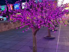 -丽达购物中心(崂山店)
