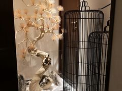 -悦融·京鲁菜·露台花园(安定门店)