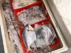 -阿杰臻选海鲜饭店(普陀山店)