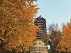 -玲珑塔公园