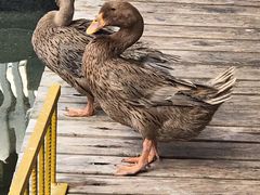 -泉乐坊步行街(烟酒特产平价超市店)