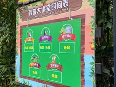 -广州长隆飞鸟乐园