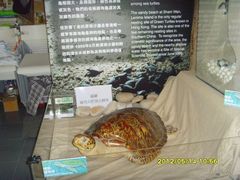 android_upload_pic-南丫岛