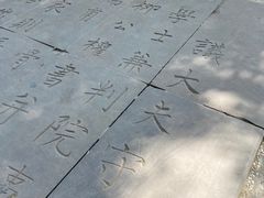 -大雁塔北广场音乐喷泉