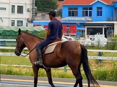 -养马岛旅游度假区