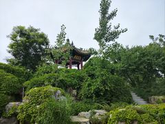 -武清南湖绿博园