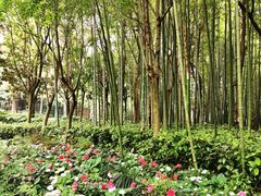 -苏州河梦清园环保主题公园