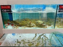 -渔家乐小海鲜(皇姑店)