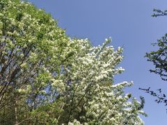 -咱家王新国把子肉(县东巷店)