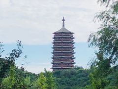 -永定河休闲森林公园