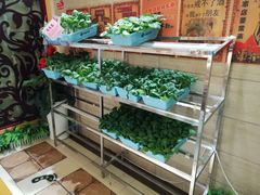 -好口福私房菜(太元路店)