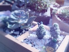 -403国际艺术中心