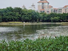 -映月湖公园