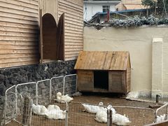 -HERRE·FARM 赫尔露营农场·团建聚会包场