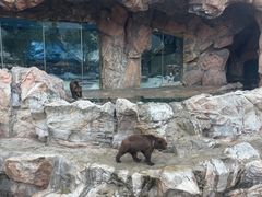 -广州长隆国际大马戏