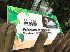 -深圳野生动物园