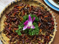 -老滇山寨•云南特色菜•地方菜•民族风情歌舞表演(金碧店)