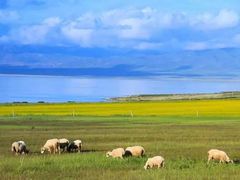 -青海湖国家重点风景名胜区