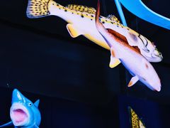-同济大学四平路校区深海探索馆