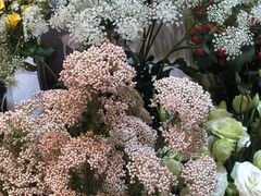 -花草间花行(法华镇路店)