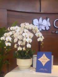 -洁铭新加坡医美