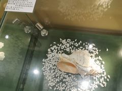 -石林冰雪海洋世界