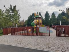 -上海滨江森林公园