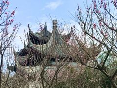 -苏州上方山国家森林公园