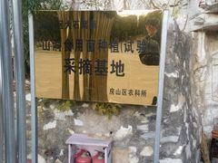 -仙蘑洞